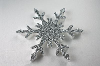 snowflakes-fm68-01-g