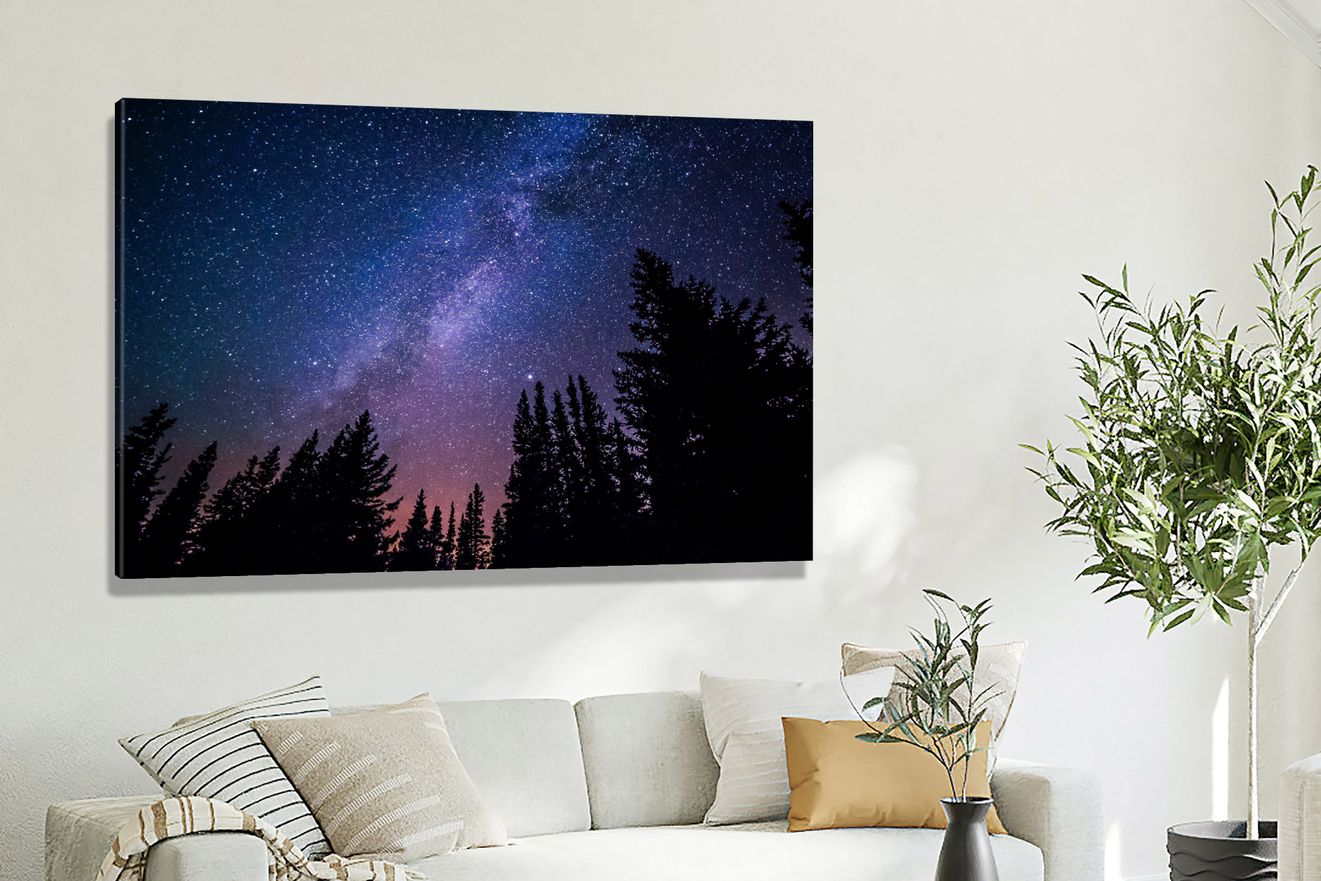 Stars, 2015 - Canvas Wrap