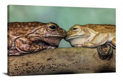Tree Frog Friends, 2021 - Canvas Wrap