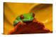 Red-Eyed Tree Frog, 2022 - Canvas Wrap