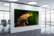 Oophaga Pumilio Salt Creek Dart Frog, 2022 - Canvas Wrap1
