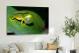 Dainty Tree Frog Mating Call, 2019 - Canvas Wrap3