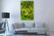Frog Covered in Algae, 2020 - Canvas Wrap3