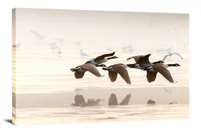 Geese Across a Lake, 2019 - Canvas Wrap