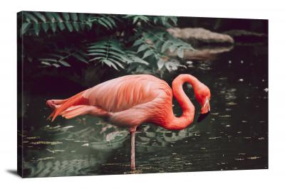 Flamingo in the Water, 2021 - Canvas Wrap