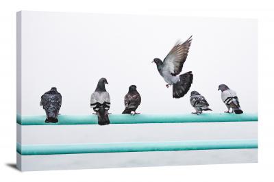 Pigeon on Manhattan Beach, 2018 - Canvas Wrap