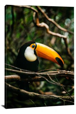 Toucan on a Tree, 2020 - Canvas Wrap