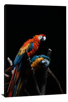 Pair of Macaws, 2021 - Canvas Wrap