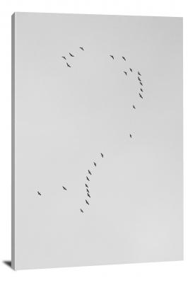 Birds in Formation, 2018 - Canvas Wrap