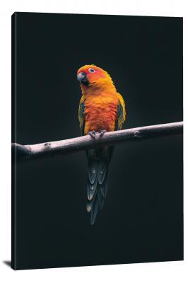 Orange Bird on a Branch, 2019 - Canvas Wrap