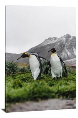Two Penguin in the FIeld, 2021 - Canvas Wrap