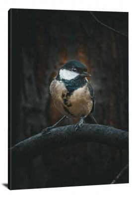 Great Tit on a Branch, 2021 - Canvas Wrap
