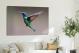 Hummingbird Closeup, 2017 - Canvas Wrap3