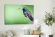 Broad-billed Hummingbird, 2018 - Canvas Wrap3
