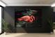 Flamingo in the Water, 2021 - Canvas Wrap2