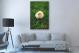 Baby Chick in the Grass, 2020 - Canvas Wrap3