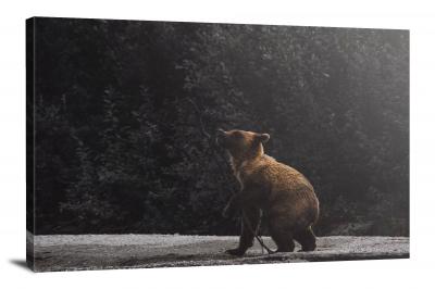 Bear Playing with a Branch, 2019 - Canvas Wrap