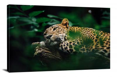 Leopard on a Log, 2021 - Canvas Wrap