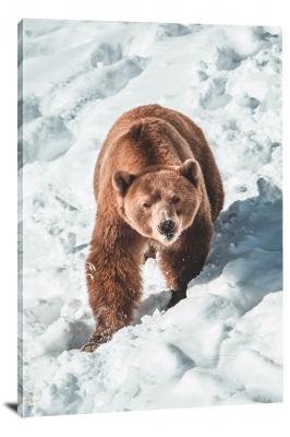 Bear Going Down Ice, 2020 - Canvas Wrap