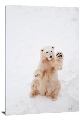 CW6782-carnivores-polar-bear-waving-00