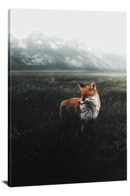 Fox in the Plain, 2020 - Canvas Wrap