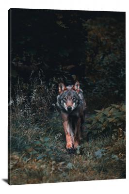 Lonely Wolf in the Forest, 2021 - Canvas Wrap