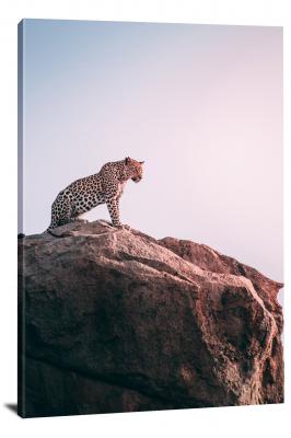 Leopard on a Big Rock, 2018 - Canvas Wrap