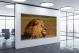 King of the Jungle, 2020 - Canvas Wrap1
