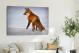 Red Fox in the Snow, 2020 - Canvas Wrap3