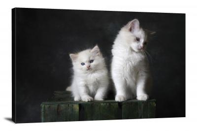 Mother Daughter Cat, 2020 - Canvas Wrap