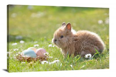 CW6509-domestic-animals-bunnies-by-an-easter-egg-00