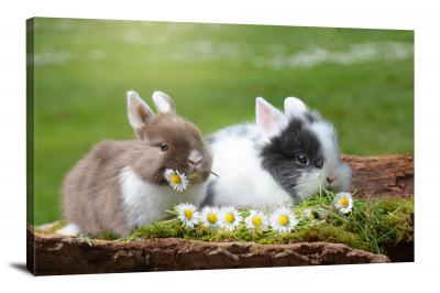 Bunnies Eating Dandelions, 2017 - Canvas Wrap
