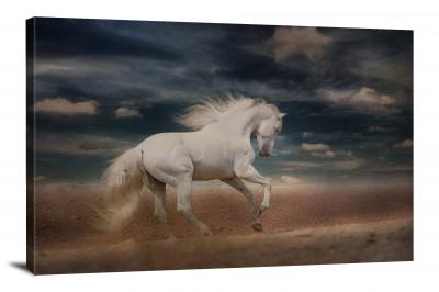 Horse Running in the Desert, 2019 - Canvas Wrap