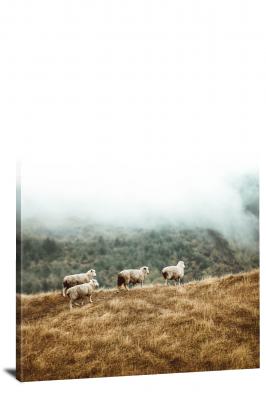 Sheep Heading to the Light, 2020 - Canvas Wrap