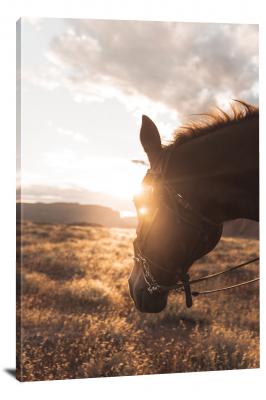 Horse Looking at Sunset, 2020 - Canvas Wrap