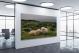 Sheep on a Pasture, 2017 - Canvas Wrap1