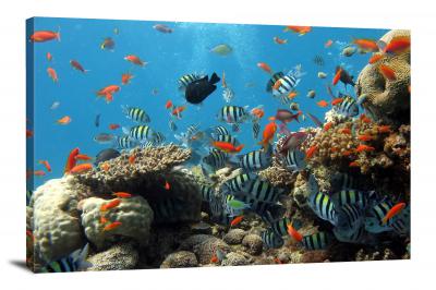 Coral Reef Fish, 2014 - Canvas Wrap