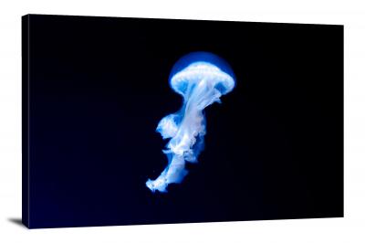 CW6615-fish-glowing-ghost-jellyfish-00