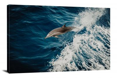 Dolphin Leaping over Waves, 2019 - Canvas Wrap