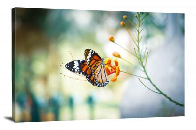 Monarch Butterfly on Flower, 2020 - Canvas Wrap