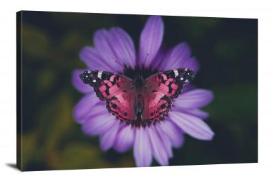 CW6809-insects-purple-butterfly-and-flower-00