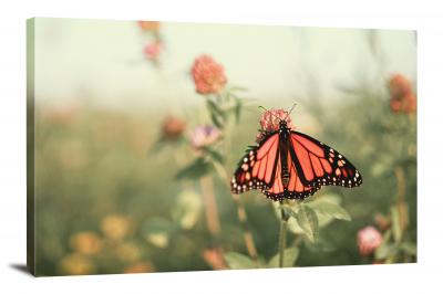 Butterfly in the Field, 2020 - Canvas Wrap
