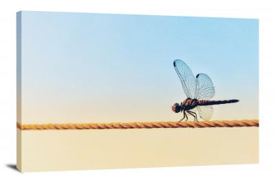 Dragonfly on a Strand, 2020 - Canvas Wrap