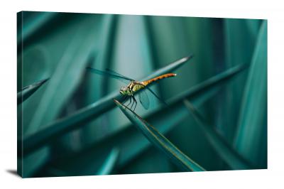 Green Plants Dragonfly, 2018 - Canvas Wrap