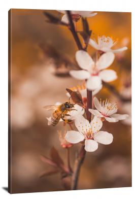 CW6843-insects-blossoms-and-bees-00