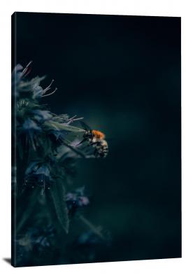 CW6844-insects-a-bumblebee-unlocks-a-hidden-treasure-00