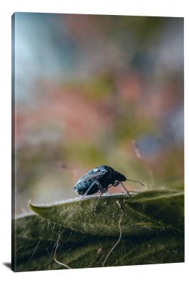 Beetle on the Leaf, 2020 - Canvas Wrap