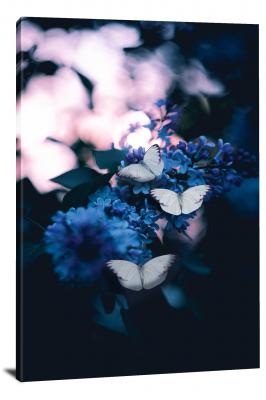 CW6853-insects-mystical-butterflies-00