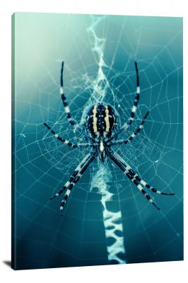 Blue Web Spider, 2020 - Canvas Wrap