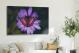 Purple Butterfly and Flower, 2020 - Canvas Wrap3